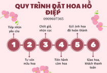 Quy trình đặt hoa hồ điệp tại SHOP HOA HỒ ĐIỆP GIÁ RẺ- SÀI GÒN 