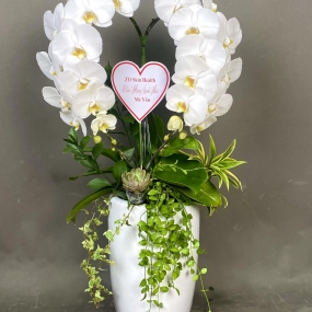 HỒ ĐIỆP TRẮNG 2 CÀNH 