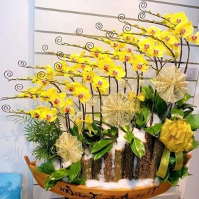 HỒ ĐIỆP MINI VÀNG GHÉP THUYỀN 