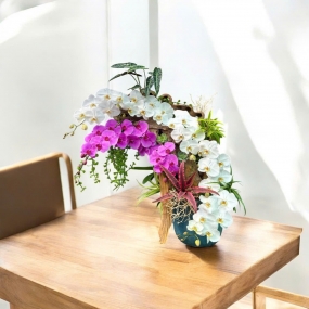 4 cành hồ điệp trắng phối 2 cành hồ điệp tím chậu sứ , lũa, cỏ lan chi, sen đá và dứa hồng phụng 