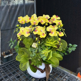 MẪU 05/04/2025 | ĐÃ BÁN