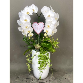 HỒ ĐIỆP TRẮNG 2 CÀNH 