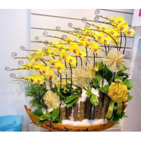 HỒ ĐIỆP MINI VÀNG GHÉP THUYỀN 