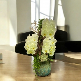 Các mẫu Hồ điệp để bàn 