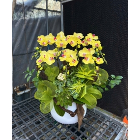 MẪU 05/04/2025 | ĐÃ BÁN