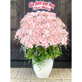 Mẫu CAO CẤP 10/04/2025| HỒ ĐIỆP ĐẸP SÀI GÒN 